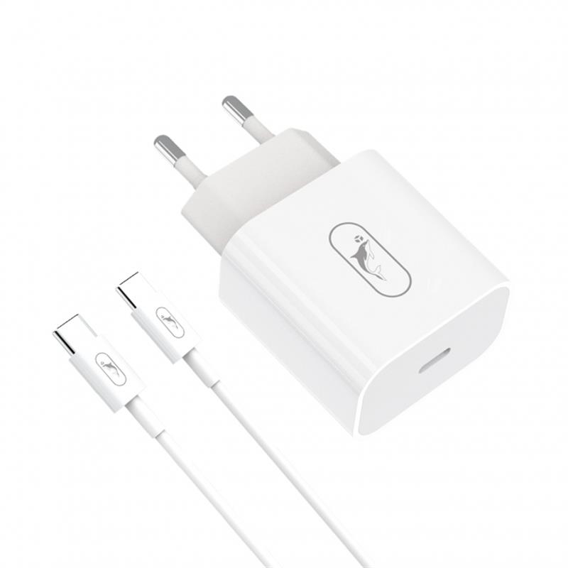 Мережевий зарядний пристрій SkyDolphin SC38T (USB TYPE-Cx2.4A) White (MZP-000183) + кабель USB Type-C