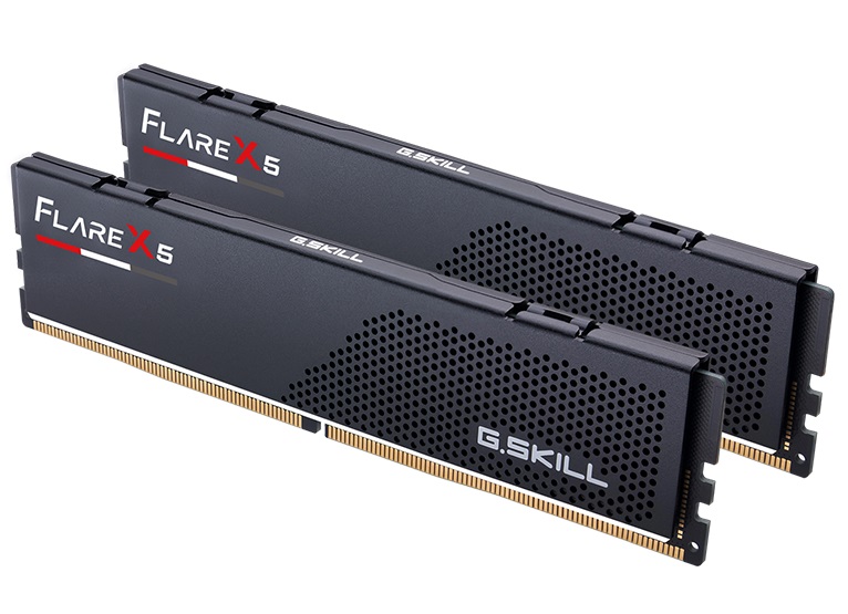 Модуль пам`ятi DDR5 2x24GB/5200 G.Skill Flare X5 (F5-5200J4040A24GX2-FX5)