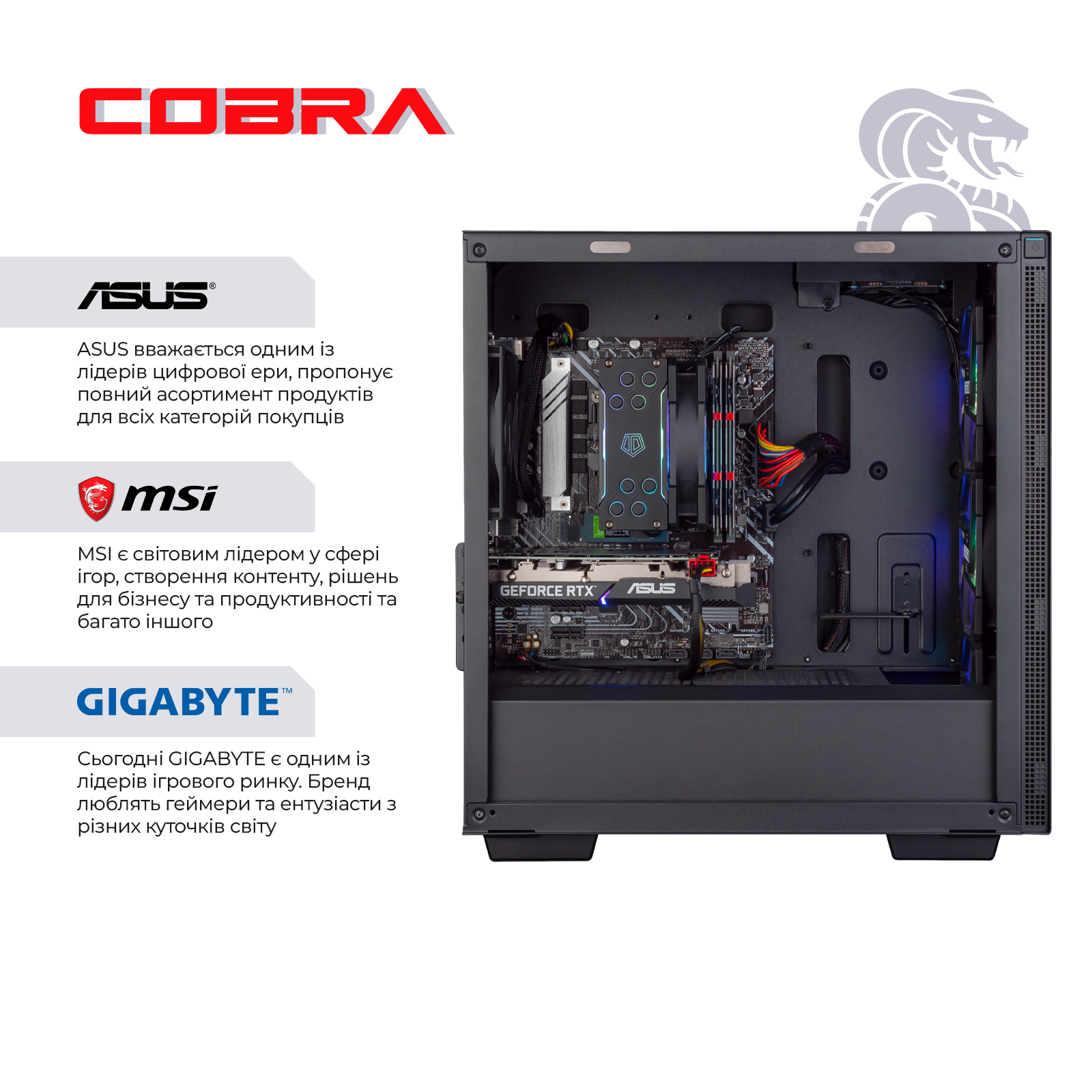 Персональний комп`ютер COBRA Gaming (A76.64.H2S5.46T.17403)