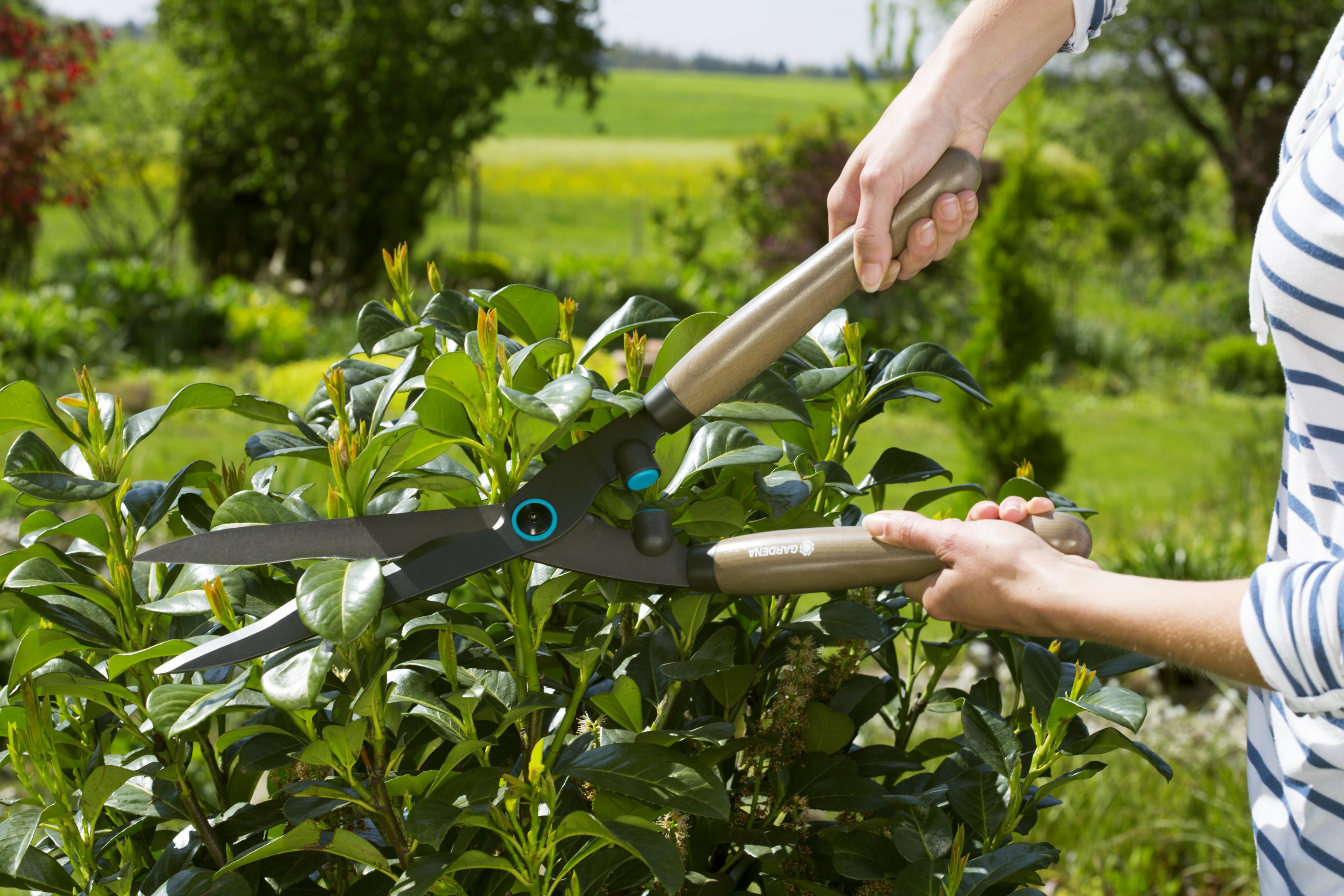 Ножиці для живоплоту Gardena NatureCut (12300-20.000.00)