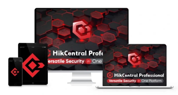 Сервер Hikvision HikCentral-P-ACS-Base/2Door