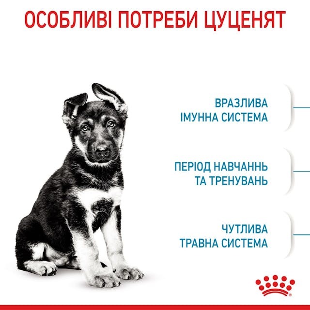 Сухий корм для собак Royal Canin Maxi Puppy 4 кг (30060400)