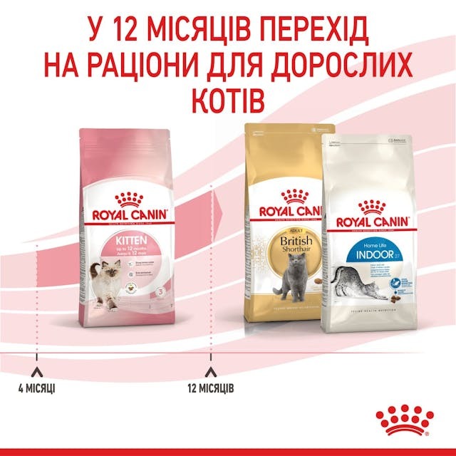 Сухий корм для кошенят Royal Canin Kitten 2 кг (2522020)