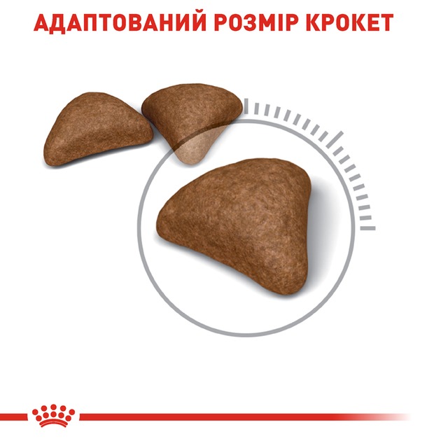 Сухий корм для кішок Royal Canin Hair and Skin Care 400 г (2526004)