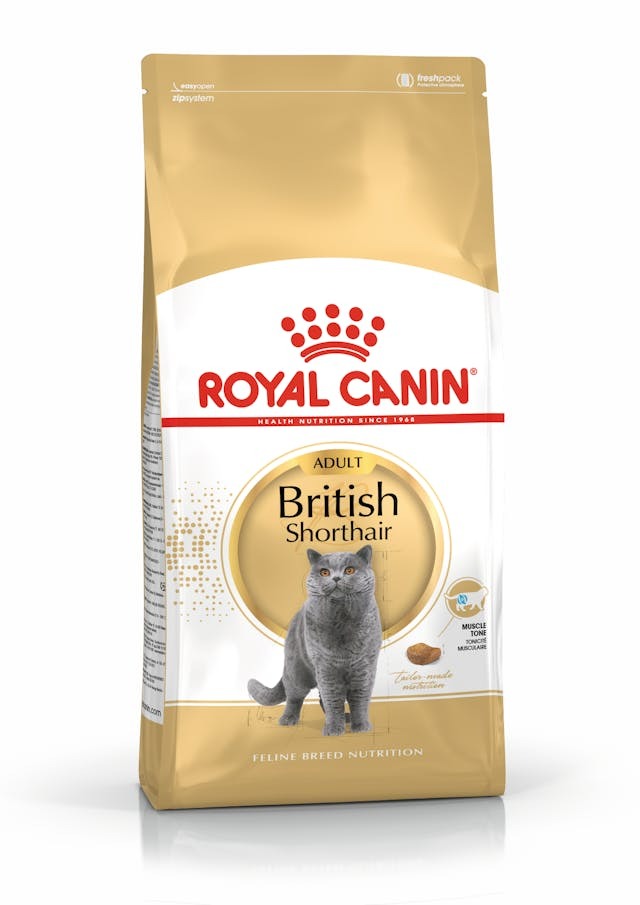 Сухий корм для кішок Royal Canin British Shorthair Adult 400 г (2557004)