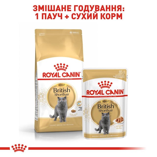 Сухий корм для кішок Royal Canin British Shorthair Adult 2 кг (2557020)