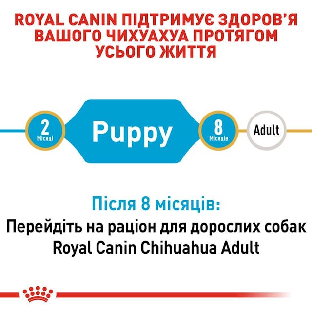 Сухий корм для собак Royal Canin Chihuahua Puppy 500 г (24380051)