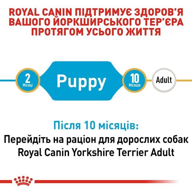 Сухий корм для собак Royal Canin Yorkshire Terrier Puppy 500 г (39720051)