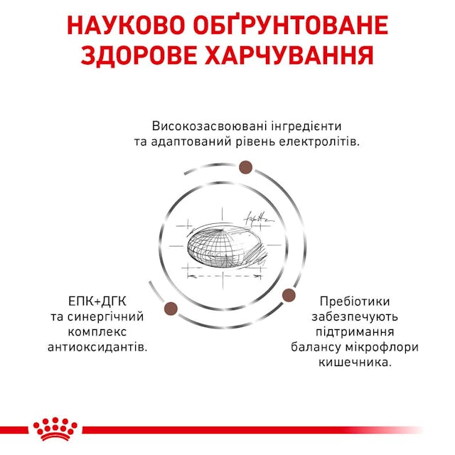 Сухий корм для собак при порушеннях травлення Royal Canin Gastrointestinal 2 кг (39110201)