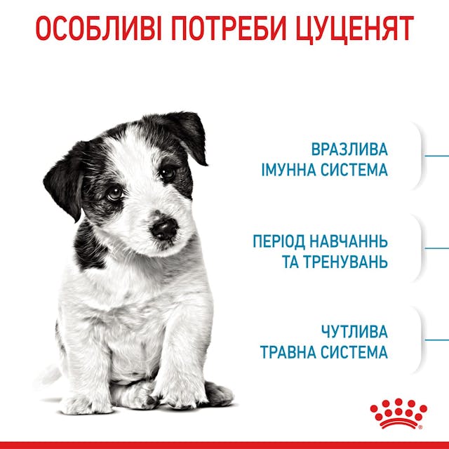 Сухой корм для собак Royal Canin Mini Puppy 800 г (30000082)