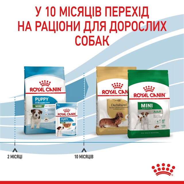 Сухой корм для собак Royal Canin Mini Puppy 800 г (30000082)