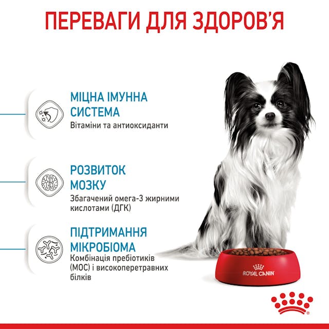 Сухий корм для собак Royal Canin X-small Puppy 500 г (10020051)