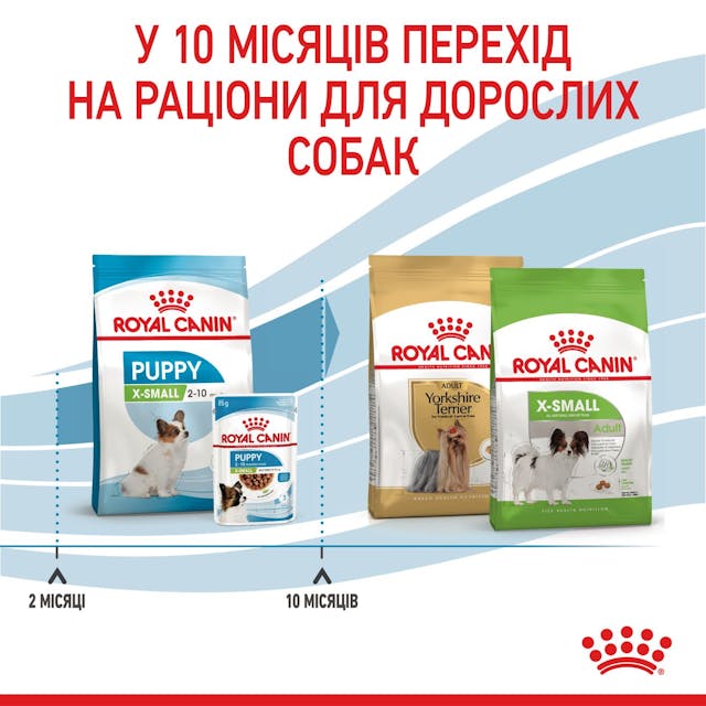 Сухий корм для собак Royal Canin X-small Puppy 500 г (10020051)