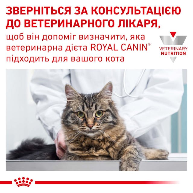 Сухий корм для котів при захворюваннях нирок Royal Canin Renal 400 г (3900004)