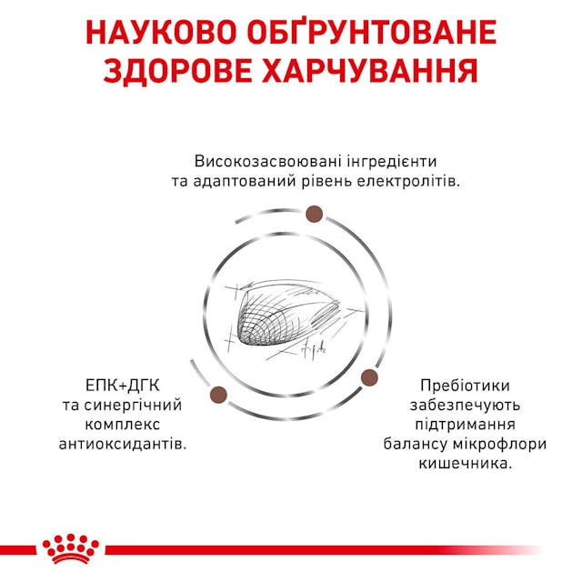 Сухий корм для котів при розладах травлення Royal Canin Gastrointestinal 400 г (39050041)