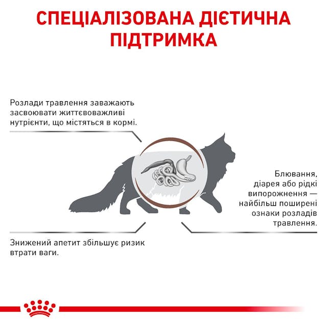 Сухий корм для котів при розладах травлення Royal Canin Gastrointestinal 400 г (39050041)