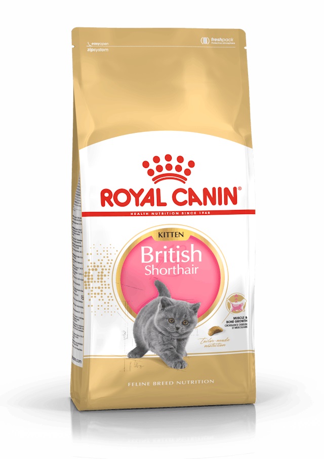 Сухий корм для кошенят Royal Canin British Shorthair Kitten 400 г (2566004)