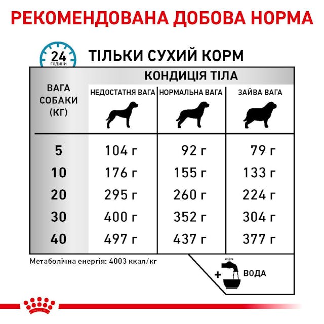 Сухий корм для собак Royal Canin Anallergenic 3 кг (40140301)