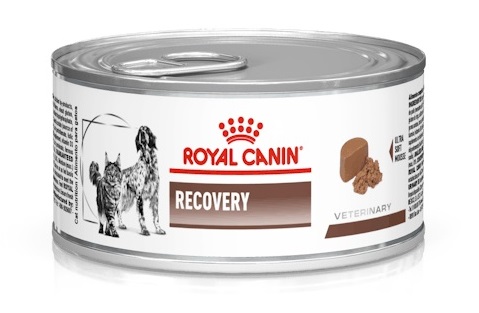 Вологий корм для собак та котів у період відновлення після хвороби Royal Canin Recovery 195 г (40550021)