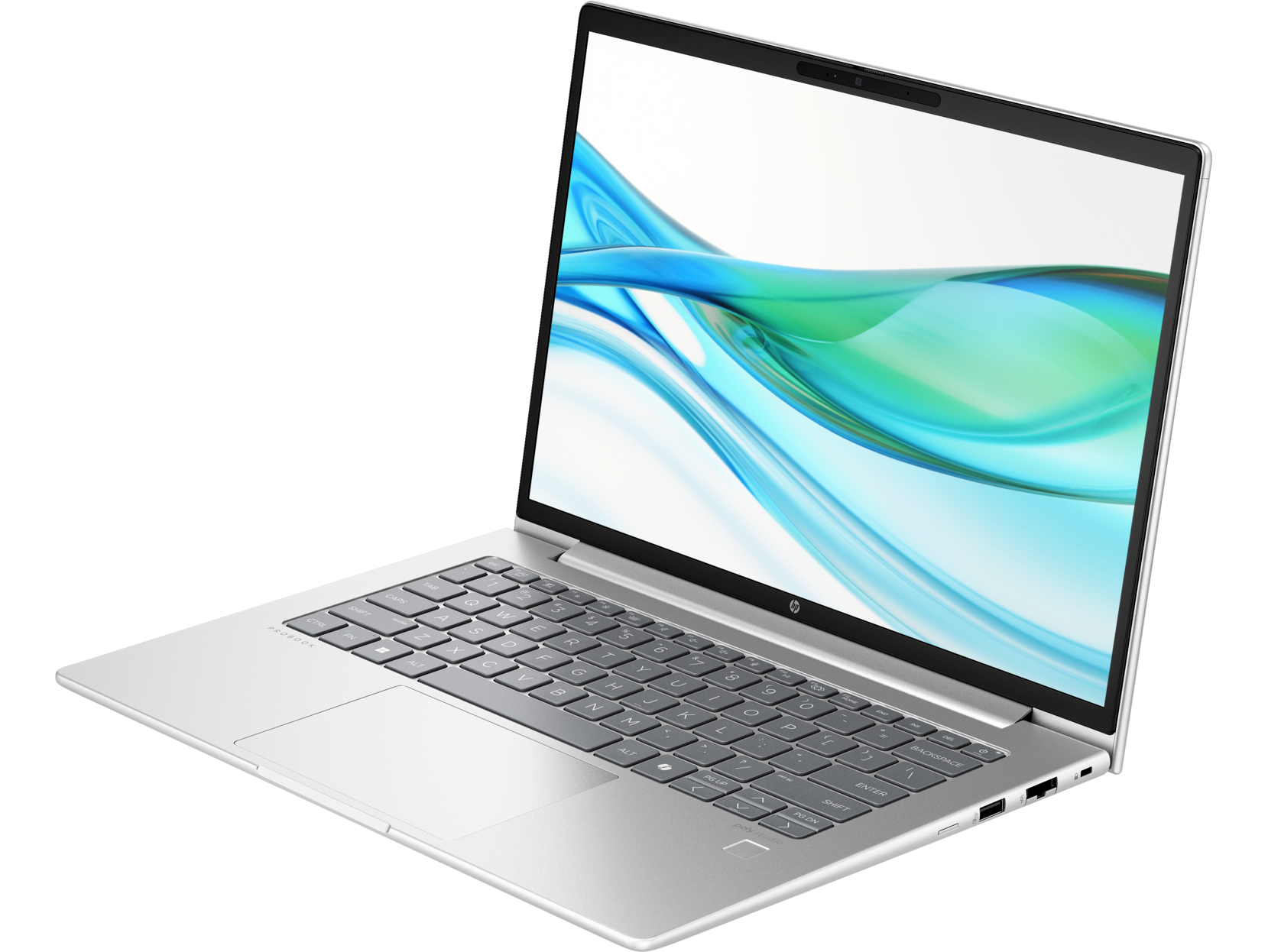 Ноутбук HP ProBook 445 G11 (9Y7K6ET) Silver