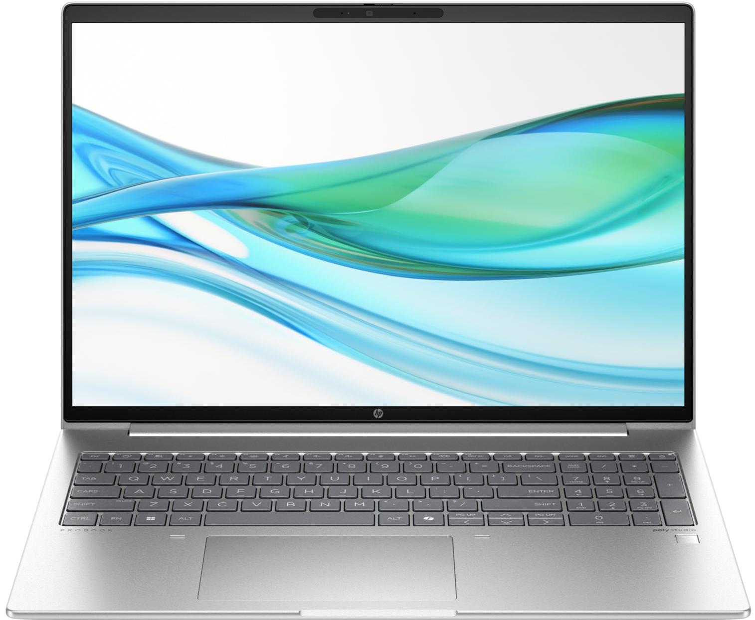 Ноутбук HP ProBook 460 G11 (8Z674AV_V3) Silver