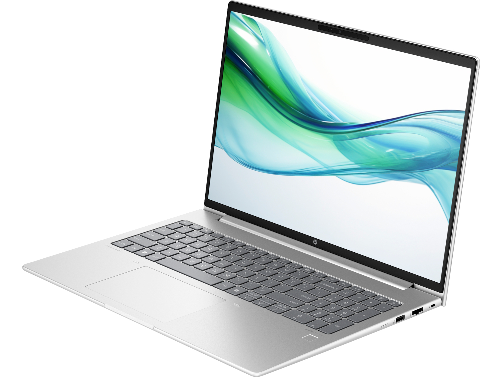 Ноутбук HP ProBook 460 G11 (8Z674AV_V3) Silver