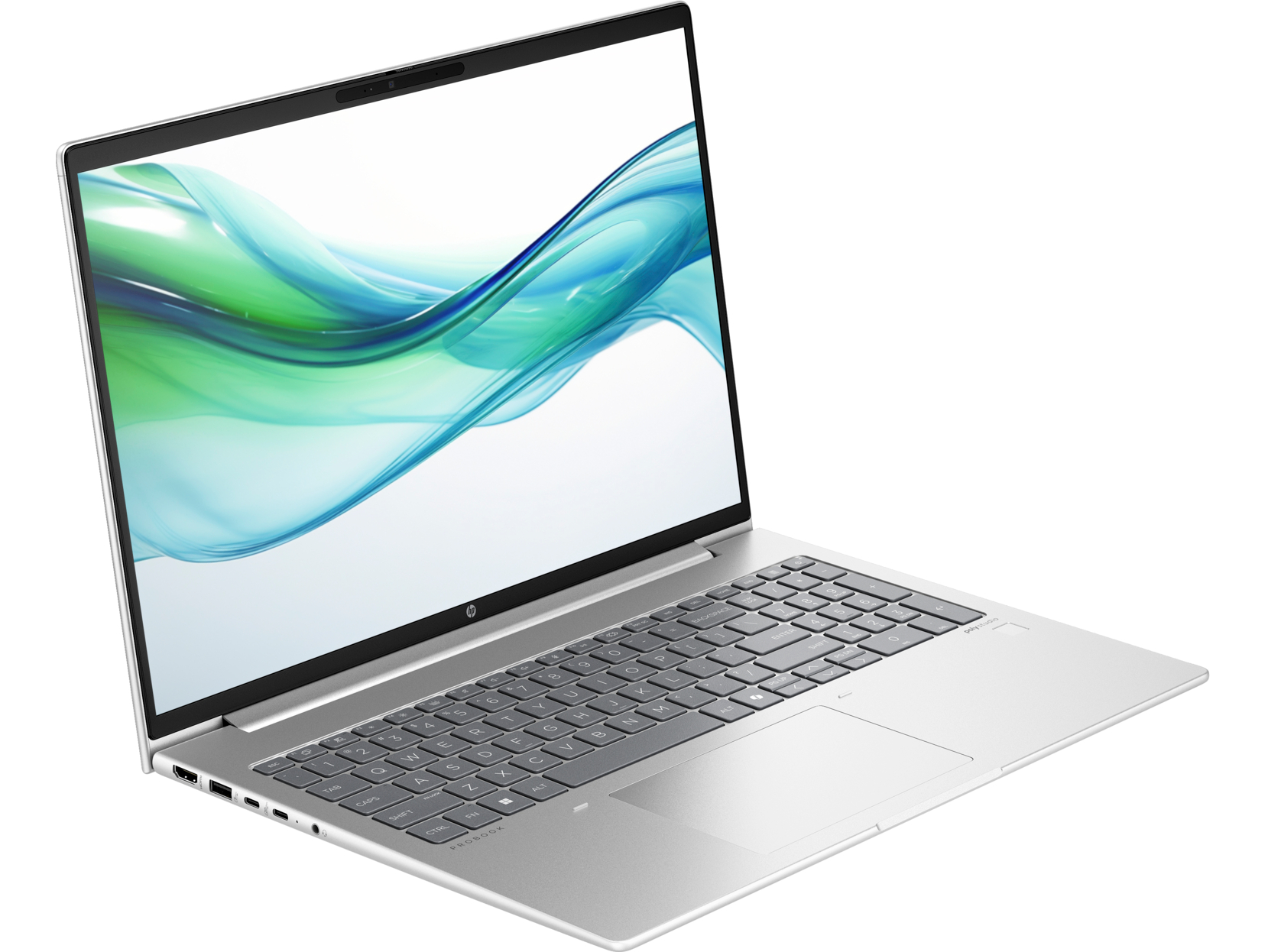 Ноутбук HP ProBook 460 G11 (8Z679AV_V1) Silver