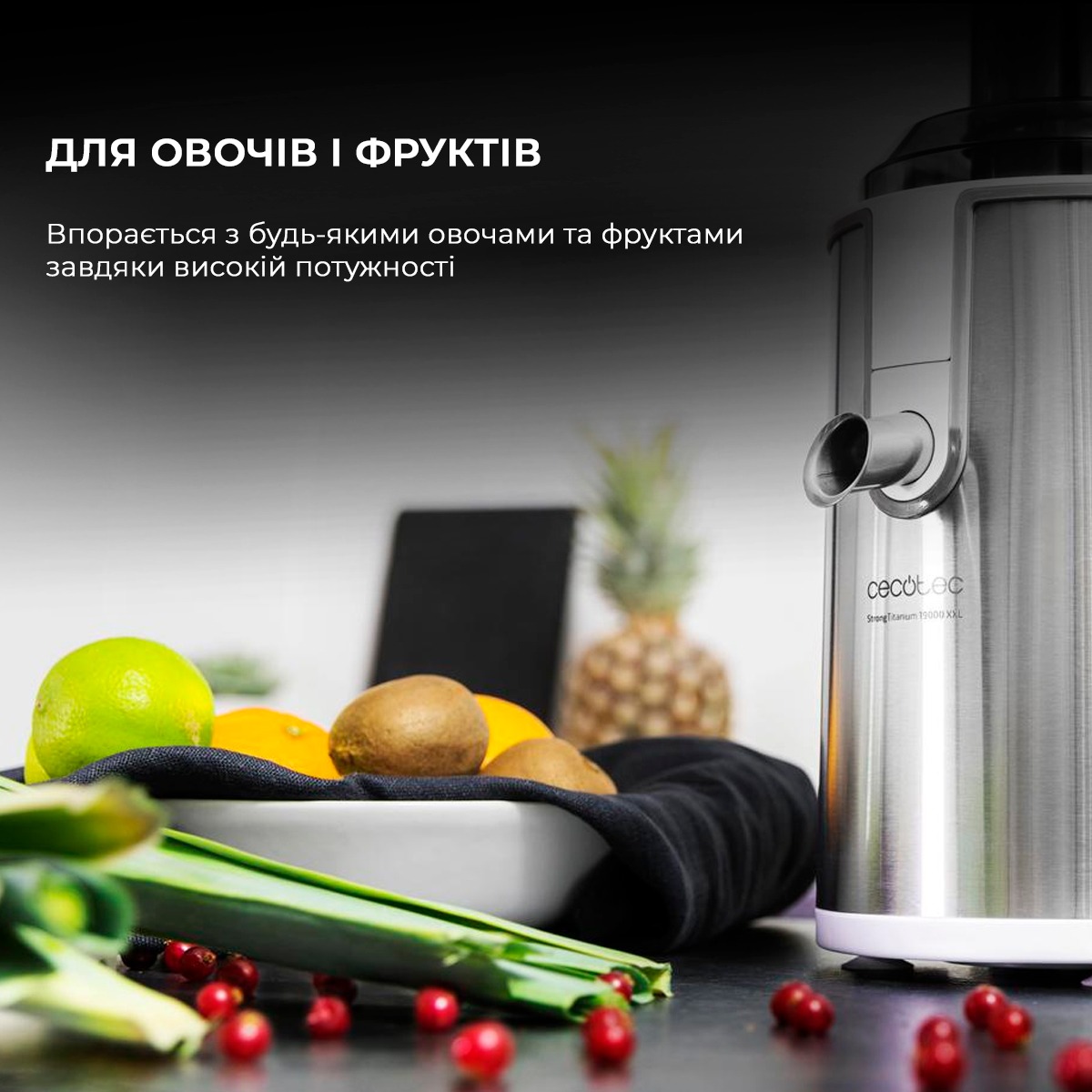 Соковижималка Cecotec Strong Titanium 19000 XXL CCTC-04110 (8435484041102)