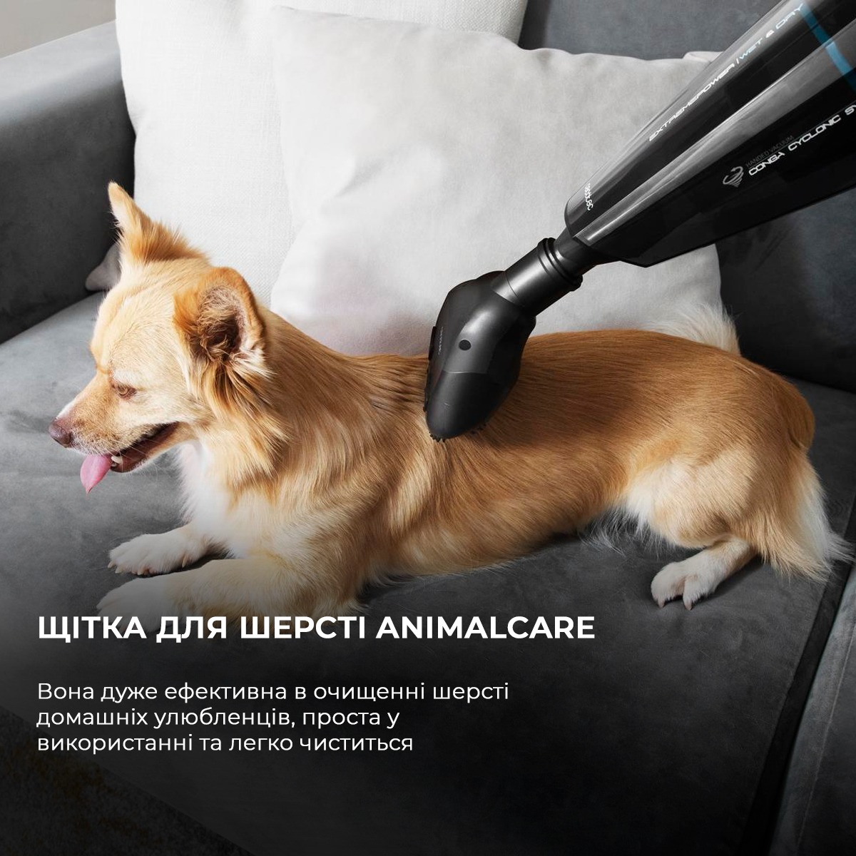 Акумуляторний миючий пилосос Cecotec Conga Immortal ExtremeSuction 22.2 Animal Hand CCTC-05441 (8435484054416)