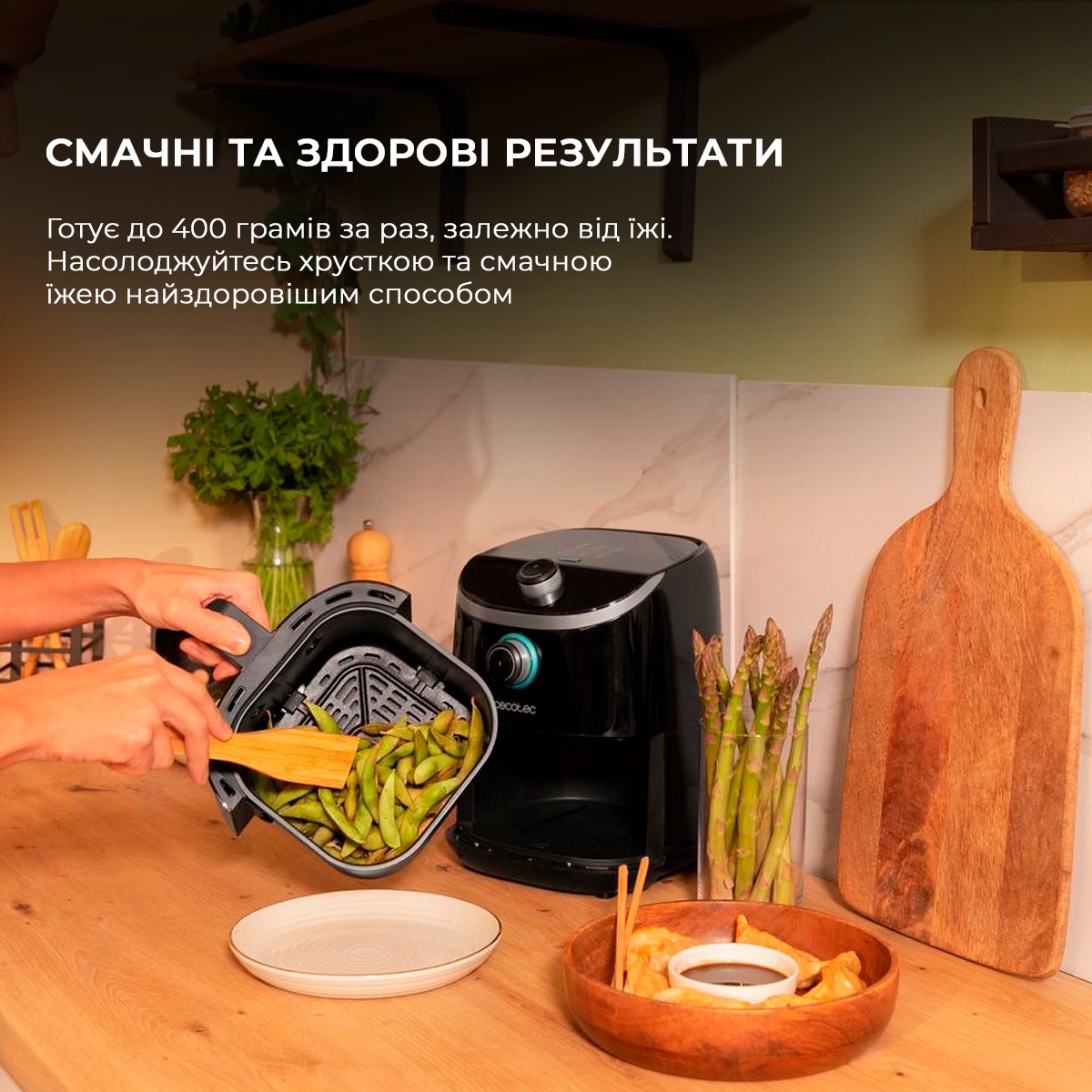 Мультипіч Cecotec Cecofry Compact 2000 (CCTC-03312)