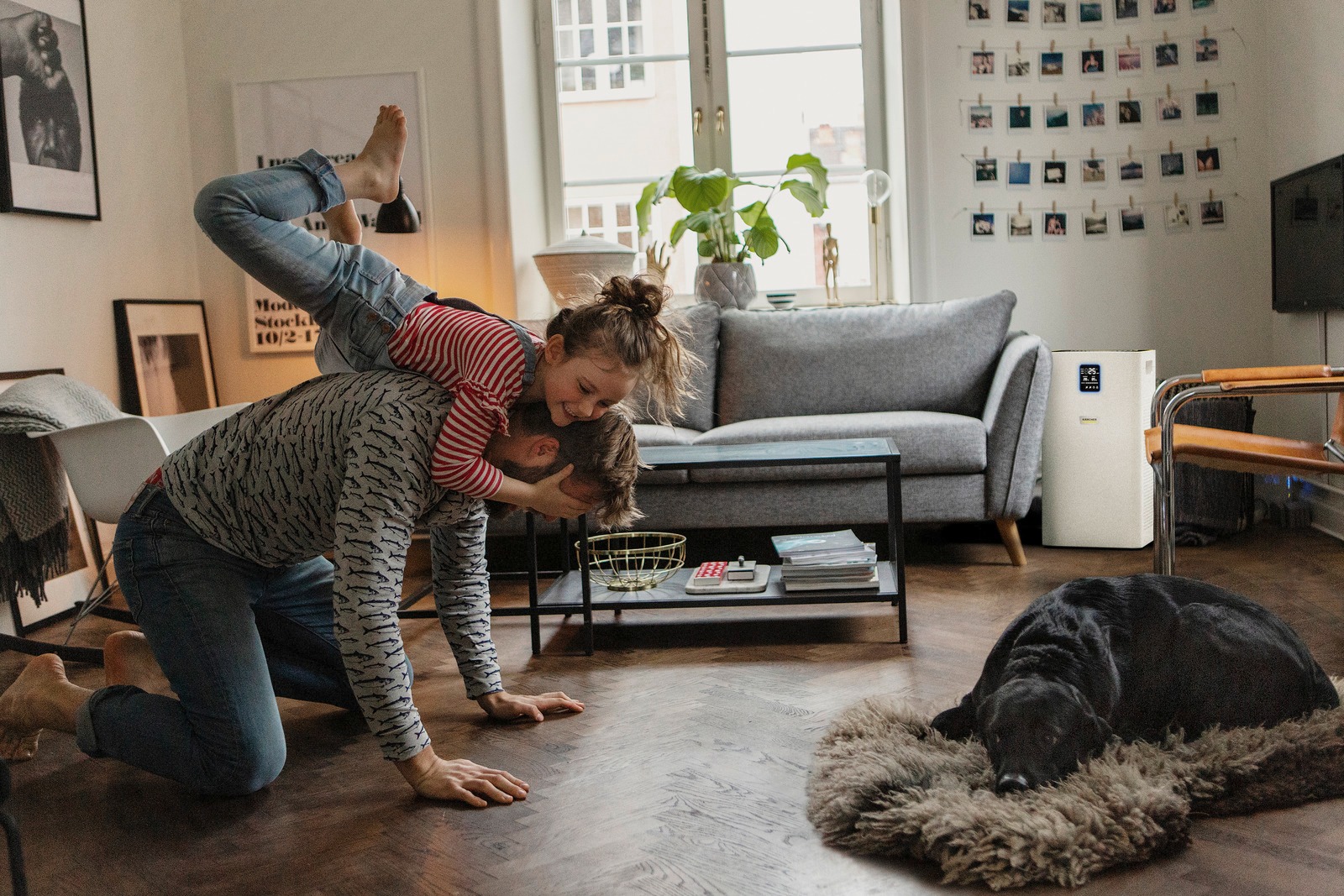 Очиститель воздуха Karcher AF 50 (1.024-822.0) Очиститель воздуха Karcher AF 50 (1.024-822.0)