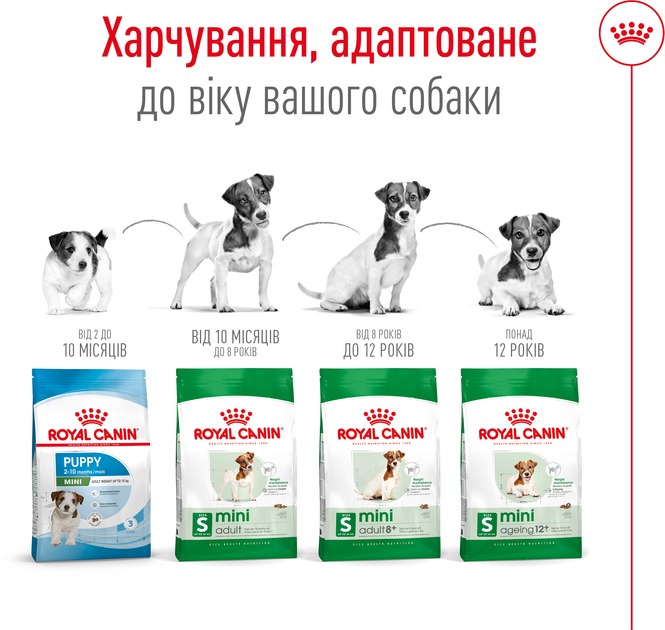 Сухий корм для собак дрібних порід вагою до 10 кг від 10 місяців Royal Canin Mini Adult 800 г (30010800)