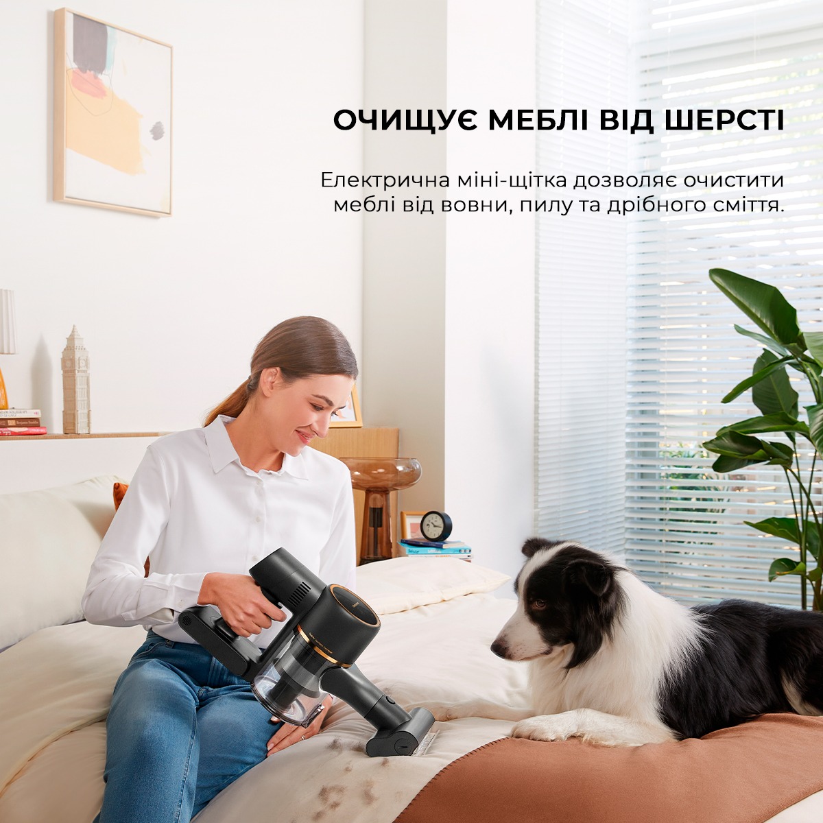 фото Вертикальний + ручний пилосос (2в1) Dreame R10 Pro Aqua (VZV15A)