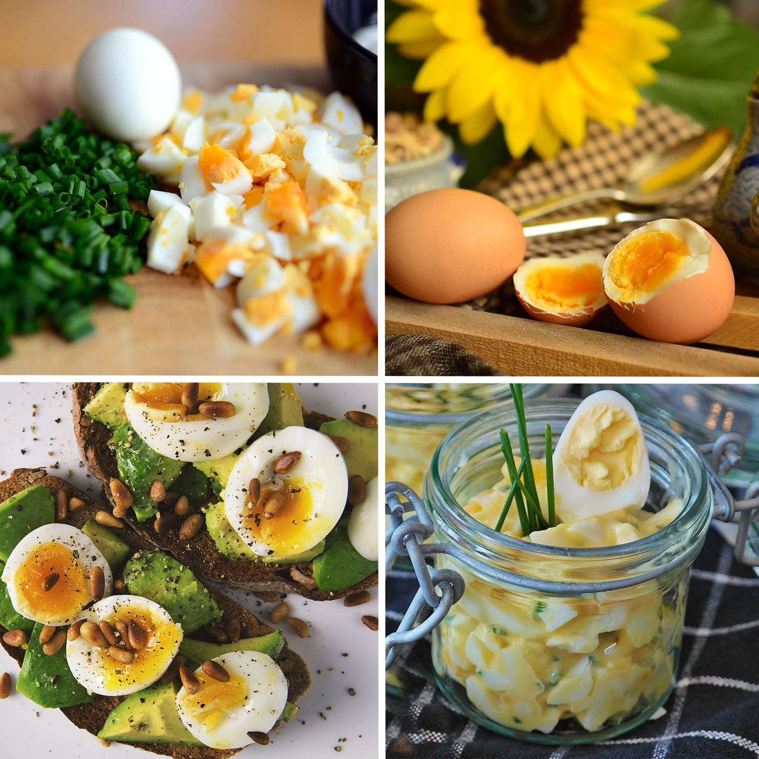 фото Яйцеварка First FA-5115-3