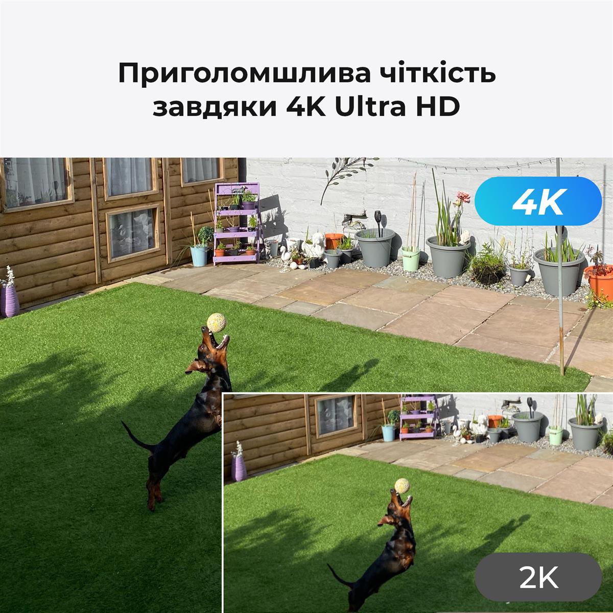 IP камера Reolink P330 2.8 mm (RLC-810A)