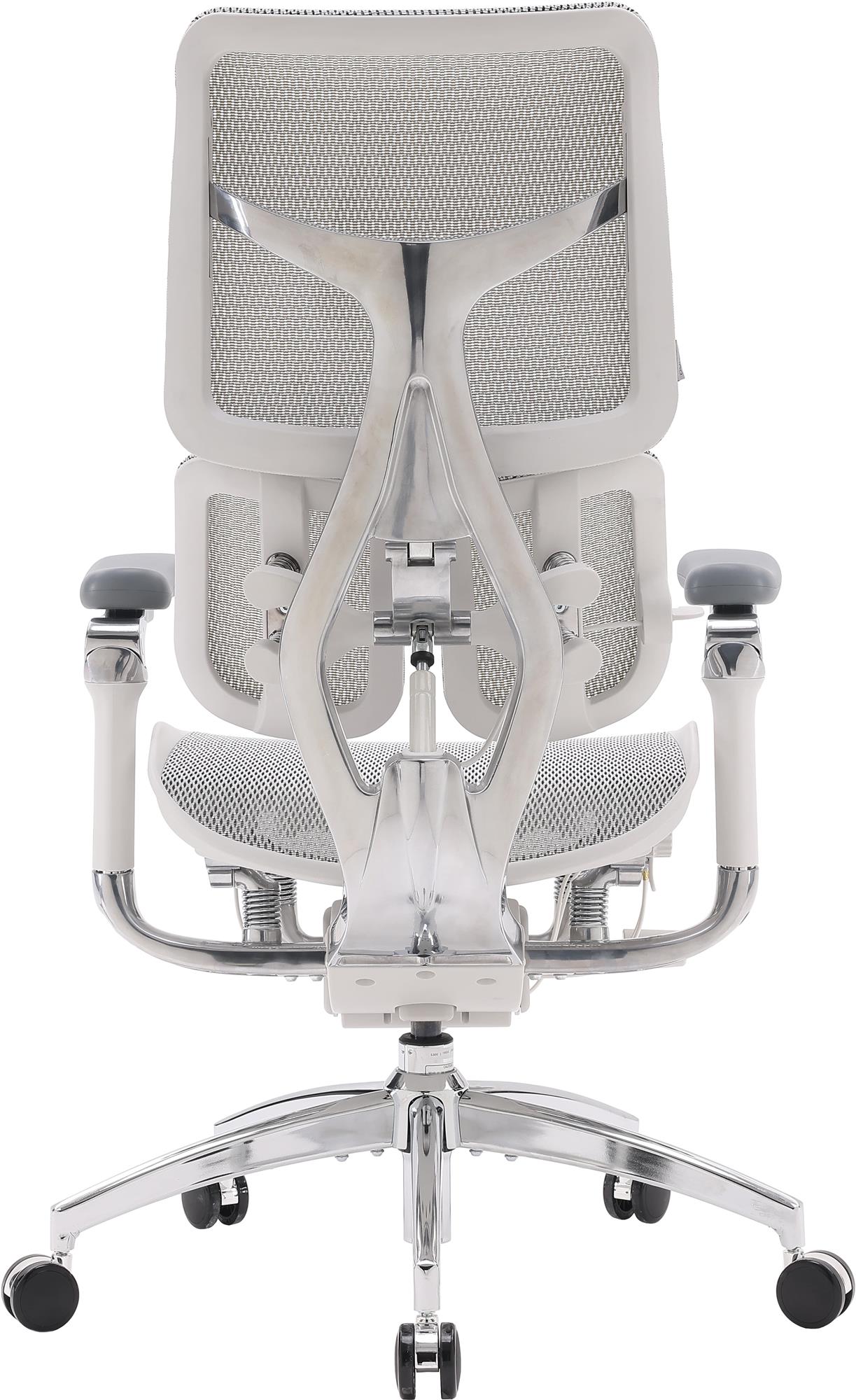 Кресло офисное Sihoo Doro S100 Mesh Black (S100-M301) Кресло офисное Sihoo Doro S100 Mesh Black (S100-M301)