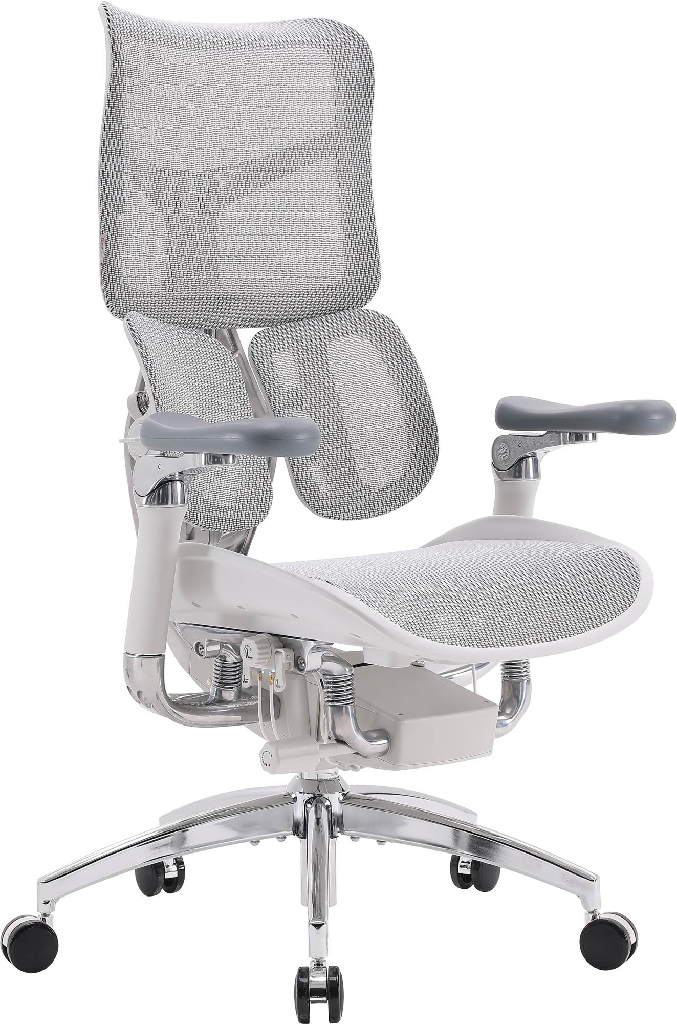 Кресло офисное Sihoo Doro S300 Mesh Light Grey (S300-M202) Кресло офисное Sihoo Doro S300 Mesh Light Grey (S300-M202)