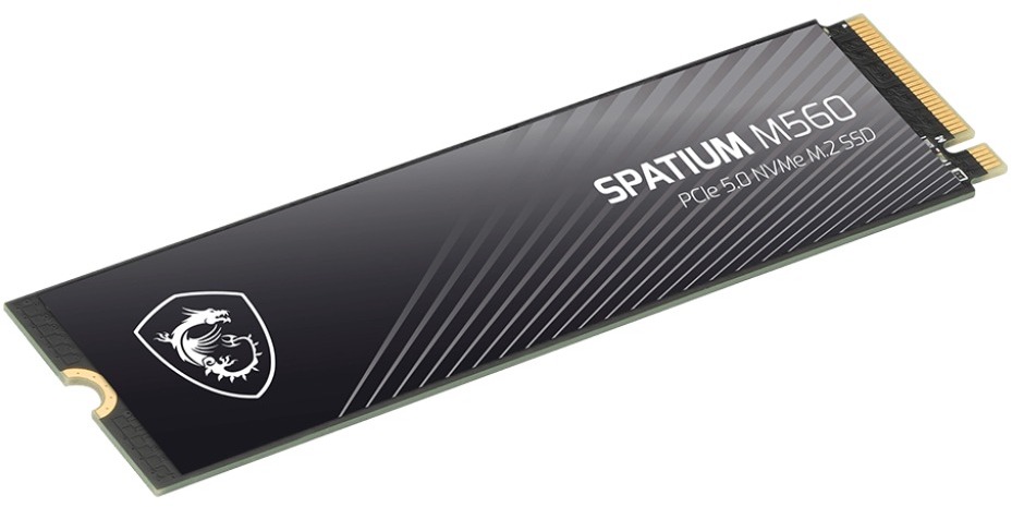 Накопитель SSD 1TB MSI Spatium M560 M.2 2280 PCIe 5.0 x4 NVMe 3D NAND (S78-440L0F0-P83) Накопитель SSD 1TB MSI Spatium M560 M.2 2280 PCIe 5.0 x4 NVMe 3D NAND (S78-440L0F0-P83)